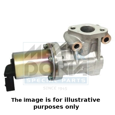 EGR Valve